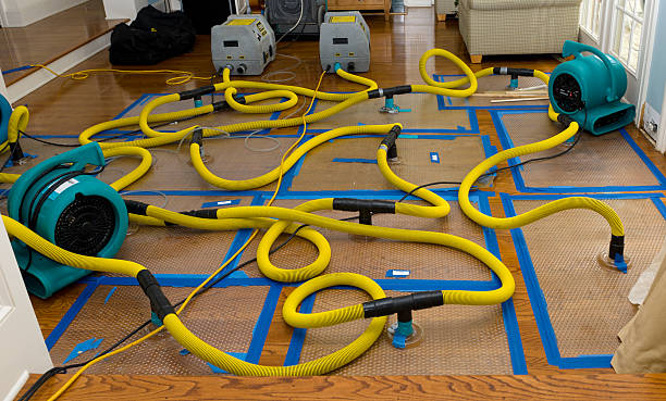 Professional Structural Drying And Dehumidification technician working in Norwood, NC